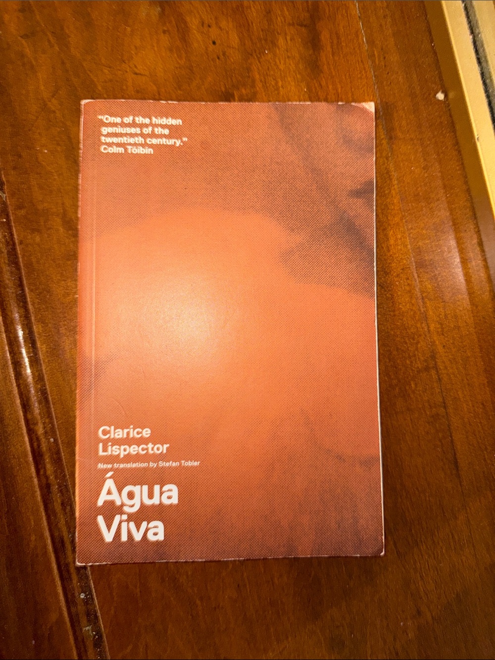 Clarice Lispector Água Viva Paperback - Orange Cover